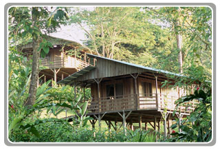 Selva Bananito Lodge Costa Rica